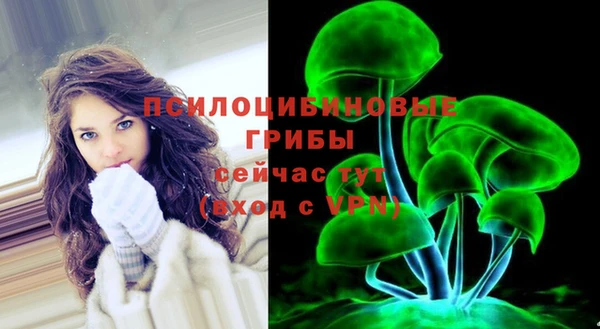 бутират Лысьва